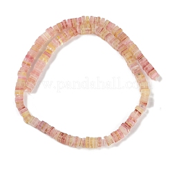 Handmade Lampwork Beads Strands&nbsp;LAMP-Q037-02B-04