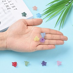 Transparent Acrylic Beads&nbsp;PLF018