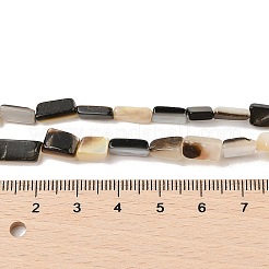 Natural Black Lip Shell Beads Strands&nbsp;SHEL-R100-01A