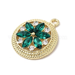Alloy Rhinestone Pendants&nbsp;FIND-H055-09G