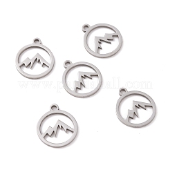 Non-Tarnish 201 Stainless Steel Charms&nbsp;STAS-G281-01P-02