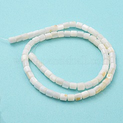 Natural Freshwater Shell Beads Strands&nbsp;SHEL-F008-04A