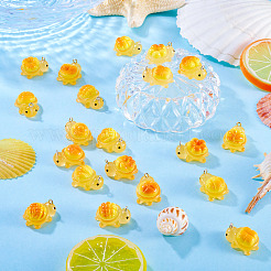20Pcs 10 Styles Transparent Resin Bread-shaped Turtle Pendants&nbsp;RESI-TA0005-24