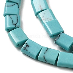 Synthetic Turquoise Beads Strands&nbsp;G-F762-A02-01