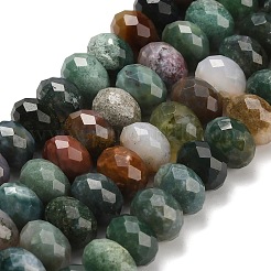 Natural Indian Agate Beads Strands&nbsp;G-C259-A02-6x10mm
