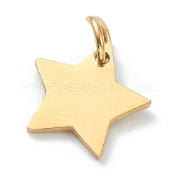 (Defective Closeout Sale:Scratched Surface)304 Stainless Steel Charms&nbsp;LS-STAS-XCP0001-32G