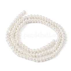 Electroplated Shell Pearl Beads Strands&nbsp;BSHE-Z009-11B