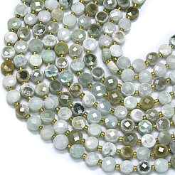 Natural Myanmar Jade Jadeite Beads Strands&nbsp;G-K389-B02-01