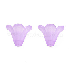 Frosted Acrylic Beads&nbsp;LS-PL692-5