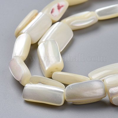 Natural Shell Beads Strands&nbsp;SSHEL-K026-01-1