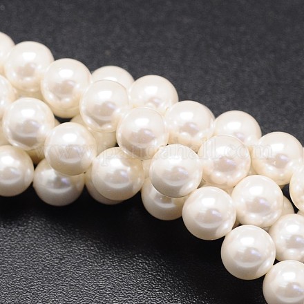 Shell Pearl Beads Strands&nbsp;BSHE-E008-6mm-12-1